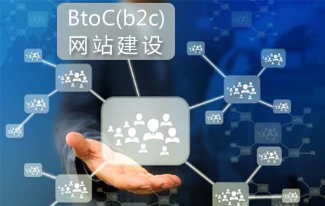 BtoC(b2c)网站建设